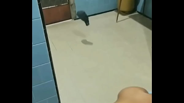 my Owner playing with me in a fun and relaxed moment